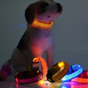 LED Collar Leopard Print Design