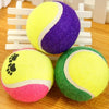 Tennis Balls Run Play Chew Toys