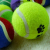 Tennis Balls Run Play Chew Toys