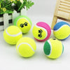 Tennis Balls Run Play Chew Toys