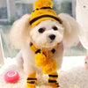 Scarf and Socks Winter Pet  Accessories