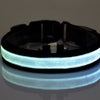 Leads Light Luminous Fluorescent Pet Collar