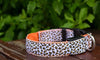 LED Collar Leopard Print Design