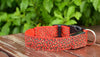 LED Collar Leopard Print Design