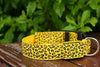 LED Collar Leopard Print Design